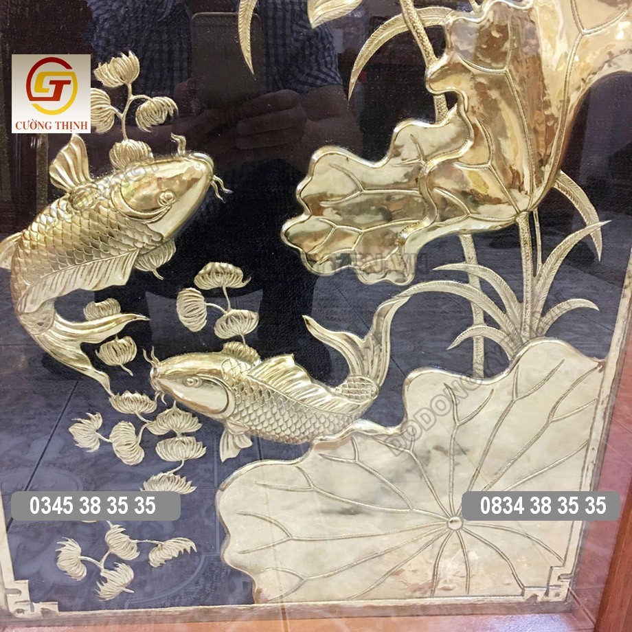 cá chép tràn đầy sức sống